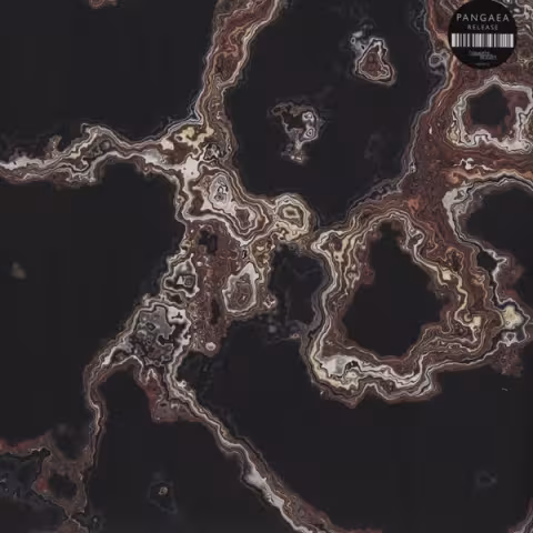 R-3974857-1351114448-1391.jpeg