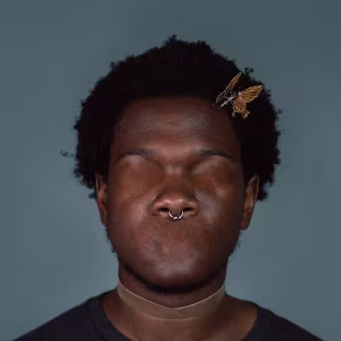 Shamir-Revelations-Album-Art.jpg