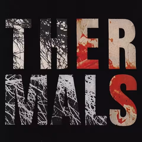 The-Thermals-Desperate-Ground.jpg