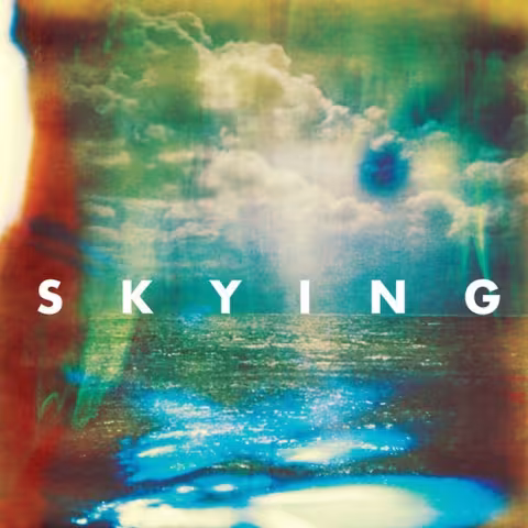 The-horrors-Skying.jpg