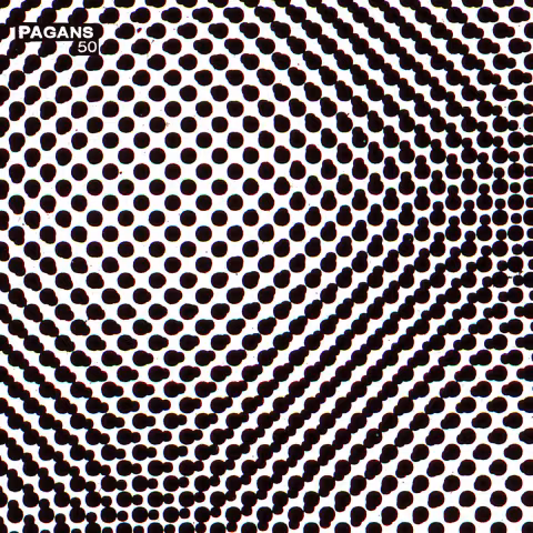 a3134571340_10.jpg