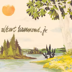 alberthammondjr-yourstokeep.jpg