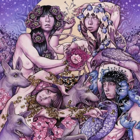 baroness.jpg