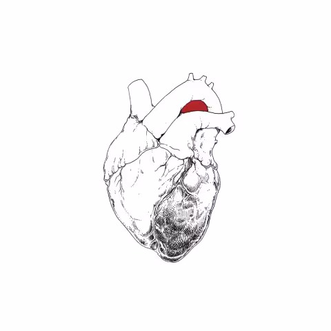 beggar.jpeg