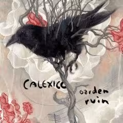 calexico.jpg