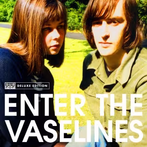enter_the_vaselines.jpg
