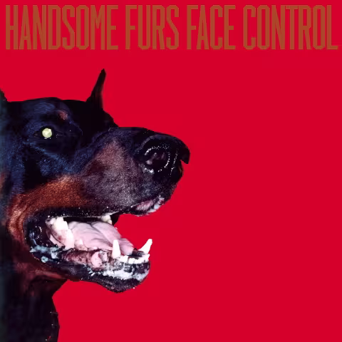 face_control-the_handsome_furs_480_01.jpg