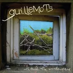 guillemots.jpg