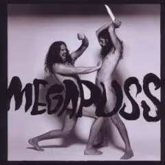megapuss_surfing.jpg