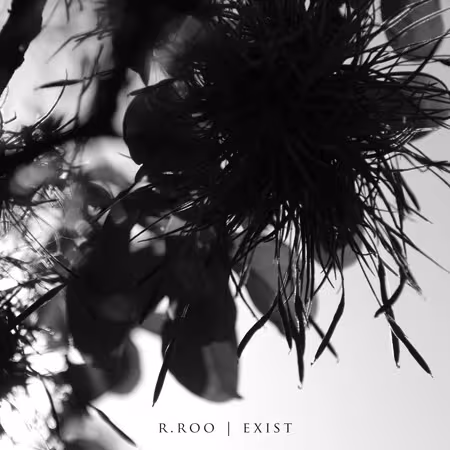 r.roo-exist-front_cover-final-450.jpg