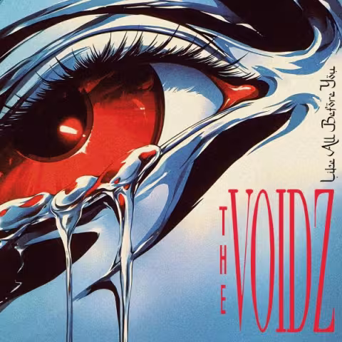 the_voidz_like_all_cover.jpg