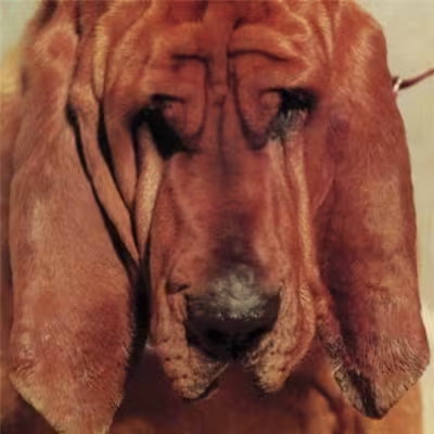 tysegall.jpg