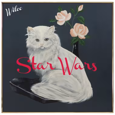 wilco_star_wars_0715.jpg