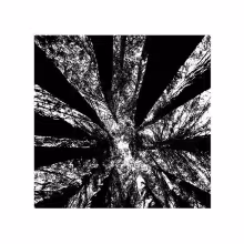 untitled_01.png
