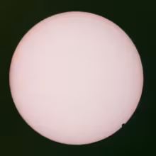JohnMaus_RaritiesCVR.jpeg