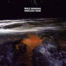 Male-Bonding-Endless-Now.jpg