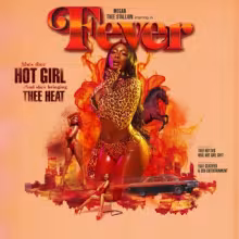 MeganTheeStallion_Fever.jpg