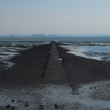 R-1421223-1223310417.jpg