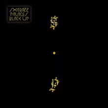 ShabazzPalacesBlackUp430x430.jpg