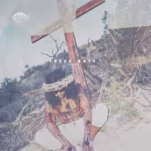 TheseDays_FINAL_TDE.jpg