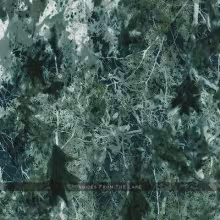 artworks-000016222919-hqvg9i-crop.jpg