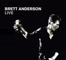 brett_anderson_live_in_london.jpg