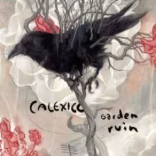 calexico.jpg