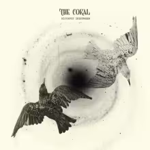coral-distance-inbetween__1_.jpg
