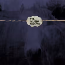 delano_orchestra_2.jpg