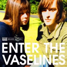 enter_the_vaselines.jpg