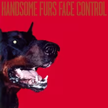 face_control-the_handsome_furs_480_01.jpg