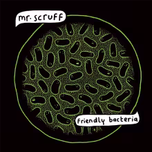 friendlybacteria.jpg