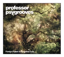 professor.jpg