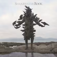 shearwater_rook.jpg