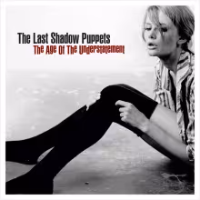 the-last-shadow-puppets-the-age-of-the-understatement.jpg