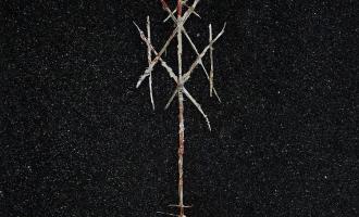 116607-wiegedood-theres-always-blood-at-the-end-of-the-road.jpeg