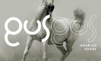 COVER_GusGus_-_Arabian_Horse.jpg