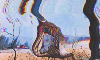 CXcRez_UsAA6-Oi.jpg_large.jpg