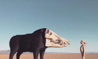 Dream-Hunting-in-the-Valley-of-the-In-Between-by-Man-Man-new-album-artwork.jpg