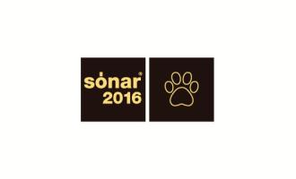 Sonar_2016_600.jpg