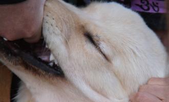 fennesz-jim-o-rourke-mego-cover-310316-616x440.jpg