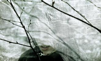 i-break-horses-2011.jpg