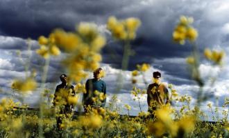 male-bonding-2011.jpg