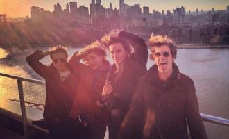 palma-violets.jpg