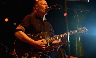 swans-1000-640x427.jpg