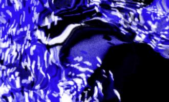 thumbnail.jpg