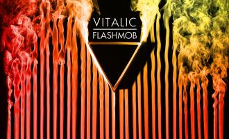 vitalic_flashmob.jpg
